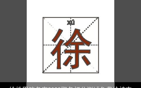 徐姓男孩名字2023取名打分测试免费徐祎志