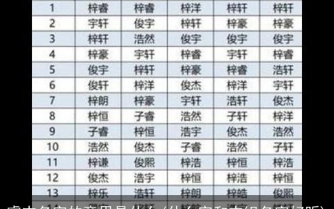 睿杰名字的意思是什么(什么字和杰组名字好听)