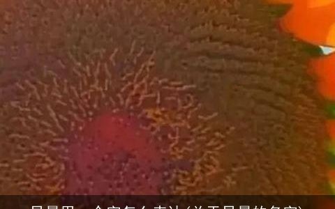 早晨用一个字怎么表达(关于早晨的名字)