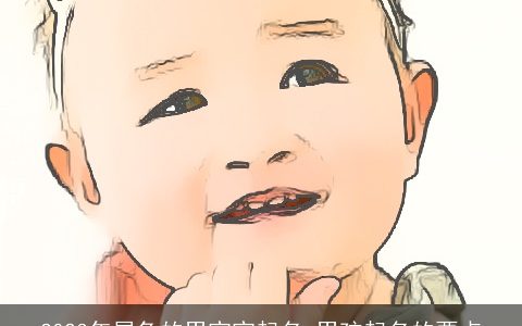 2023年属兔的男宝宝起名 男孩起名的要点