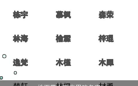 姓丁带木字旁男孩名字