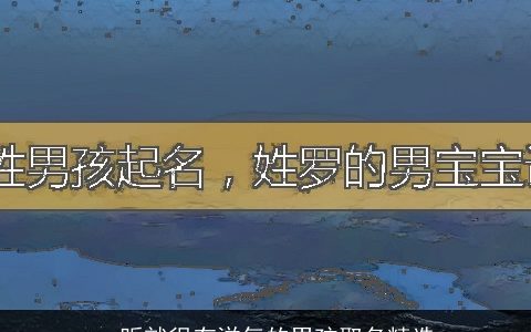 一听就很有洋气的男孩取名精选