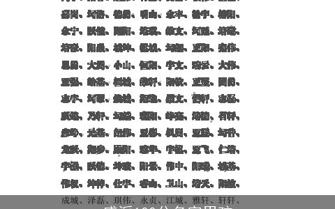 盛派100分名字男孩