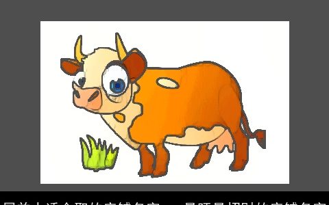 属龙人适合取的店铺名字   最旺最招财的店铺名字