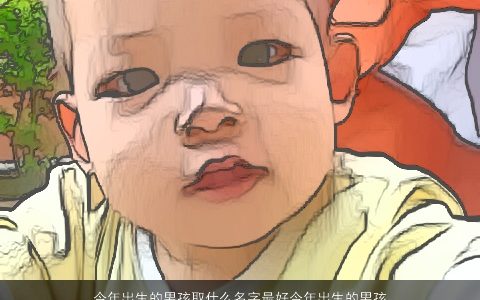 今年出生的男孩取什么名字最好今年出生的男孩取个什么名字好 今年出生的男孩取什么名字好