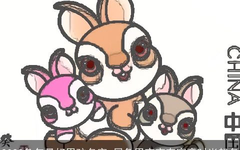 2024兔年最好男孩名字 属兔男宝宝有寓意时尚起名