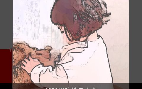 2024男孩姓名大全