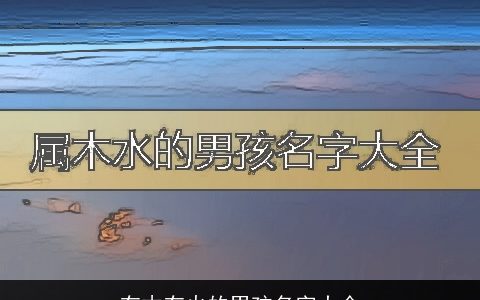有木有火的男孩名字大全