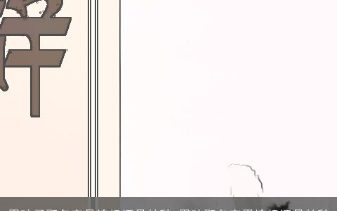 男孩子取名字是诗经还是楚辞 男孩取名字用诗经还是楚辞