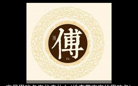 宇晨男孩名字代表什么(姓李带宇字的男孩名)