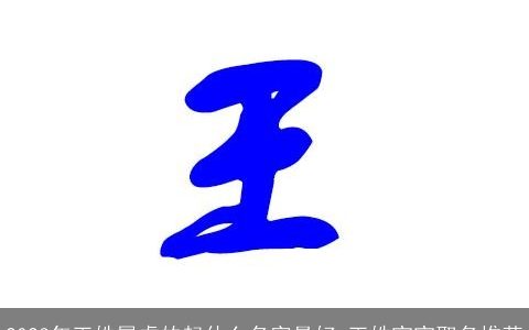 2024年王姓属龙的起什么名字最好 王姓宝宝取名推荐