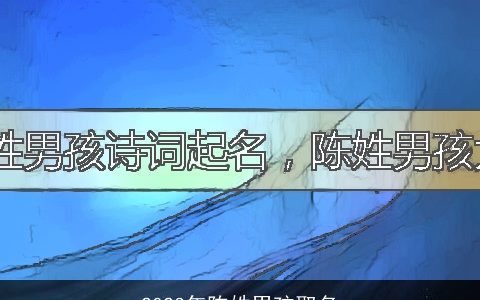 2024年陈姓男孩取名