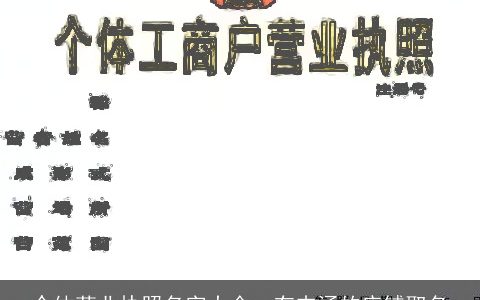 个体营业执照名字大全  有内涵的店铺取名