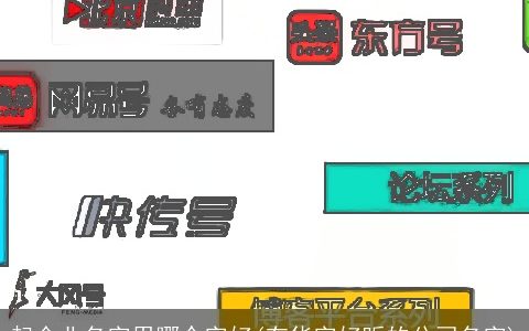 起企业名字用哪个字好(有华字好听的公司名字)