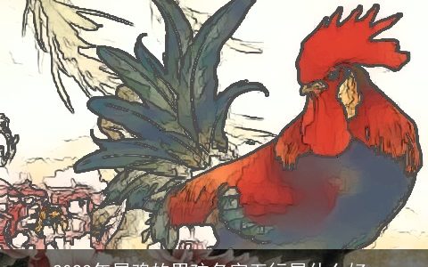 2024年属鸡的男孩名字五行属什么好_