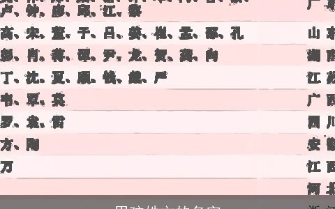 男孩姓文的名字