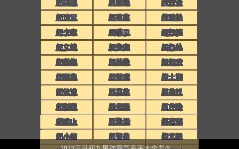 2024正月初九男孩霸气名字大全怎么取 根据好的字义 有涵养霸气的男孩名