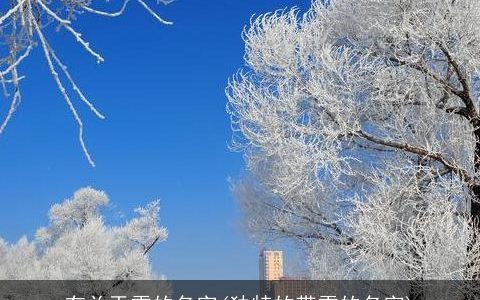 有关于雪的名字(独特的带雪的名字)