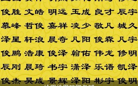 给田姓男孩取名腻