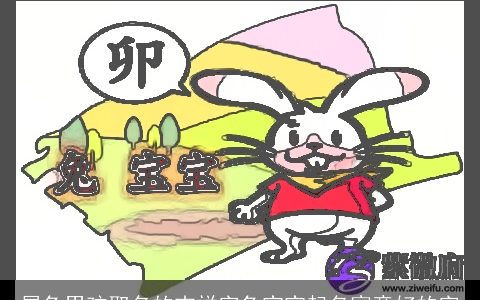 属兔男孩取名的吉祥字兔宝宝起名寓意好的字