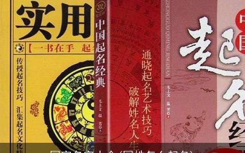 国字名字大全(国姓怎么起名)