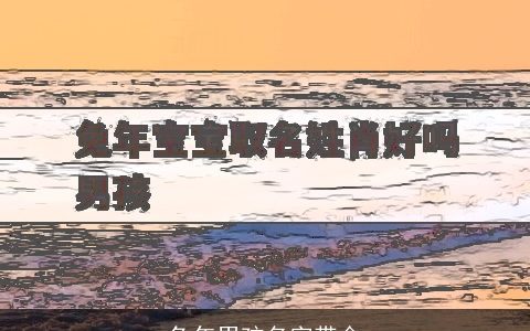 兔年男孩名字带金