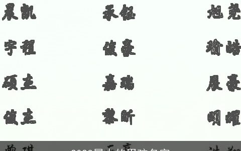 2024属木的男孩名字