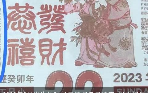 2023年2月出生的孩子最佳取名最佳字 优雅好记