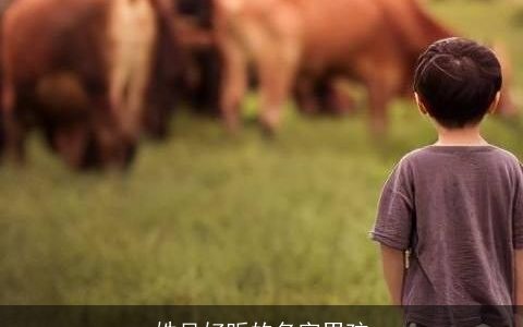 姓吴好听的名字男孩