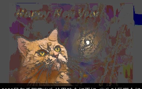 2023鼠年重阳节出生的男孩命好不好 出生时辰哪个好