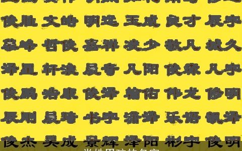 党姓男孩的名字