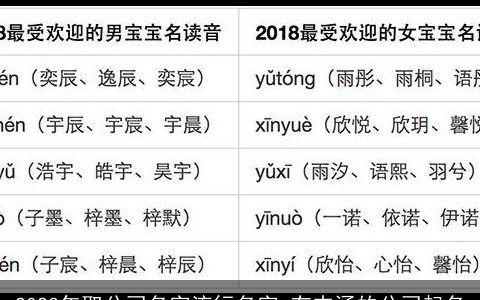2024年取公司名字流行名字 有内涵的公司起名
