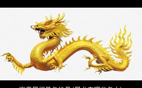 富豪属相最多的是(属龙有哪些名人)