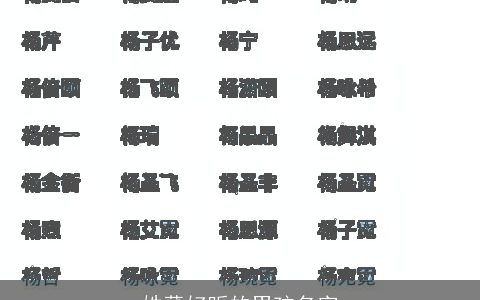 姓董好听的男孩名字