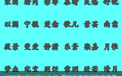 2024年4月29日出生的 男孩优美字词起名鉴赏