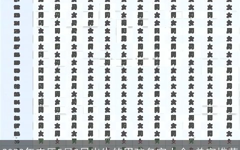 2024年农历5月3日出生的男孩名字大全 单字推荐