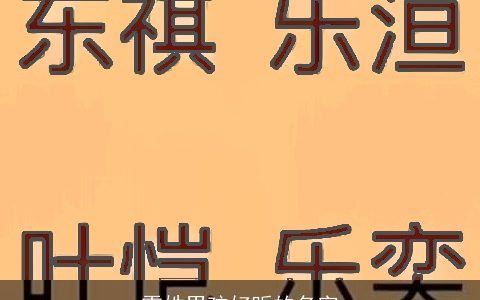 雷姓男孩好听的名字