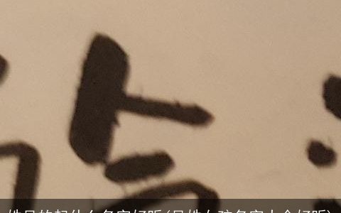 姓吴的起什么名字好听(吴姓女孩名字大全好听)