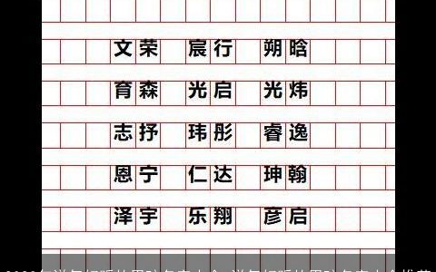 2023年洋气好听的男孩名字大全 洋气好听的男孩名字大全推荐