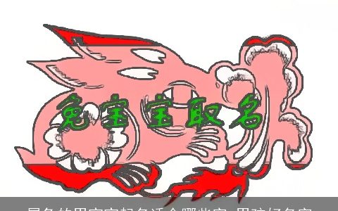 属兔的男宝宝起名适合哪些字 男孩好名字