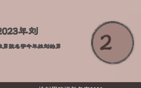 姓刘男孩洋气名字2024