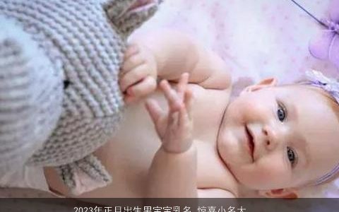 2023年正月出生男宝宝乳名 惊喜小名大全精选 好听吉利的男宝宝乳名小名名字大全
