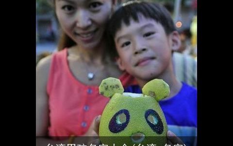 台湾男孩名字大全(台湾 名字)