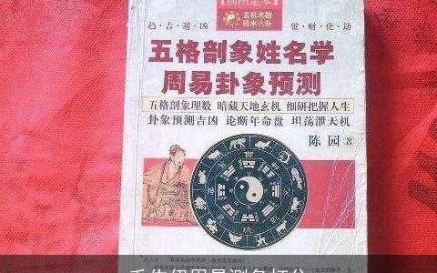 毛佐伊周易测名打分