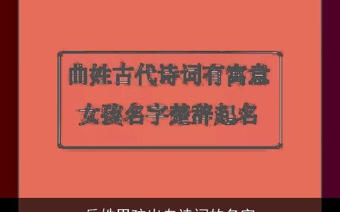 岳姓男孩出自诗词的名字