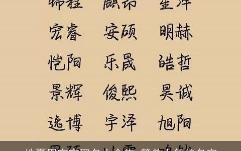 姓夏男宝宝取名大全集 简单大气的名字