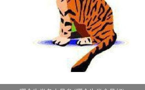 哪个生肖名人最多(哪个生肖命最好)