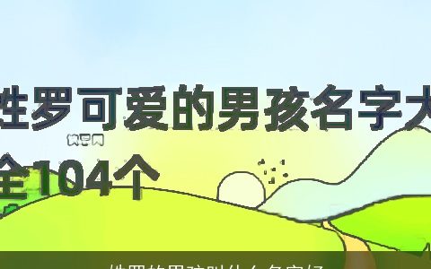 姓罗的男孩叫什么名字好