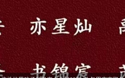 许姓的男孩子起名字大全2024年 龙年男宝宝取名