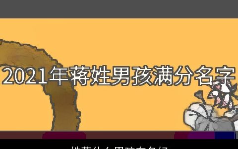 姓蒋什么男孩在名好